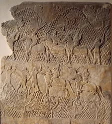 Az ókor keleti művészete: csatajelenet. Alacsony dombormű az Assurbanipal-palota, Asszíria (Kr. e. 7. század). Párizs, Louvre Múzeum