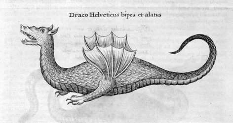 Sárkány, 1678