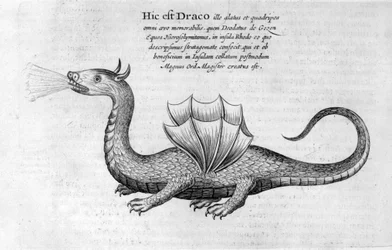 Sárkány, 1678