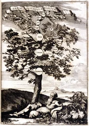Noé családfája Athanasius Kircher nyomán, Turris Babel, Róma 1675, Milánó