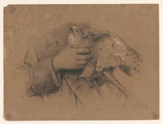 Kestrel kezébe került