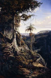 Jala-Jala erdő