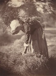 Paraszt, c. 1870.