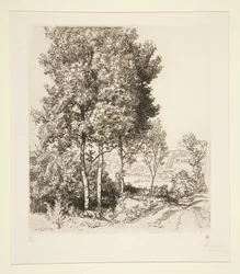 A Petit Morin-völgy Verdelot közelében (Seine-et-Marne) (Kis Morin-völgy Verdelot közelében [Seine-et-Marne])