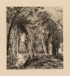 Auguste Lepère: Aljnövényzet, La Rigonette (Vendèe)