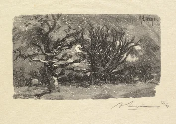 Fontainebleau-erdő: Au dormoir de Lantara (La Forêt de Fontainebleau: Au dormoir de Lantara)