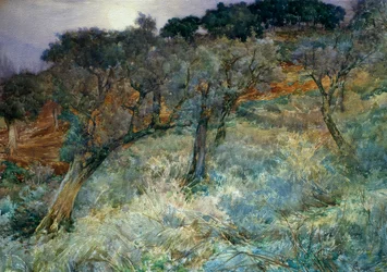 olajfa liget, Augusto Corelli (1853-1910)