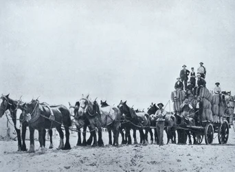 Gyapjúszállító csapat, Nyugat-Ausztrália, 1900 körül, az 