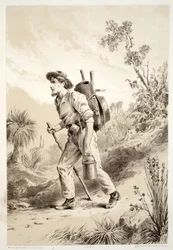 Digger on the Tramp, David Blair, McGrady, Thomson és Niven Ausztrália története című művéből, 1879