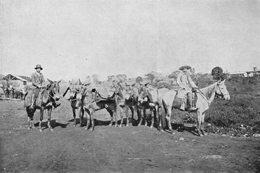 Belső kereskedők, Belső kereskedők, 1895