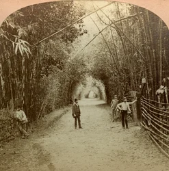 A Mardyke, Cork, Írország.