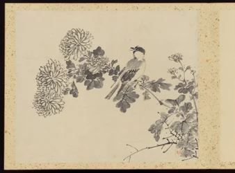 "Kifinomult elegancia a négy évszakban" (Shiji seiga), Album of Flower Paintings