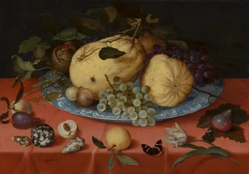 Gyümölcs csendélet kagylóval és tulipánnal
