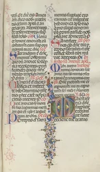 Missale: Fol. 260: Lombozat gyümölcsökkel, 1469.