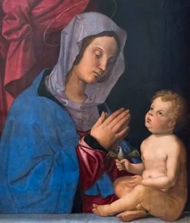 Madonna és gyermek, 1503 körül (olaj, falemez)