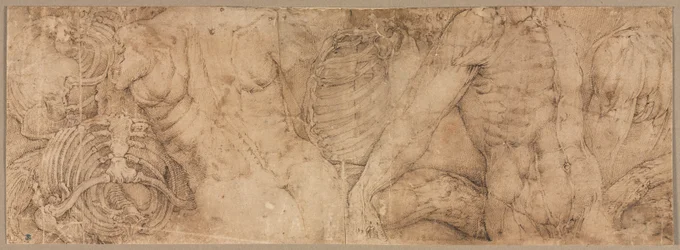 Torzók bordaketrecekkel, 1540-es évek eleje.
