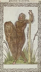 A vad ember, Jean Sluperji, Szinte minden nemzet és kortárs nemzet szokásai és portréi című illusztrációja, Antwerpen, 1572 (színes fametszet)