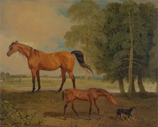 Broodmare csikóval és egy terrier