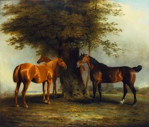 Vadászok Grassben, 1801