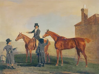 Sárga kalapács, 1800 körül