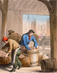 Hering Pácolás, c1845