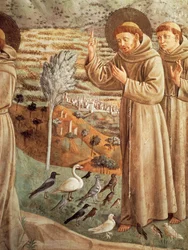 Történetek Szent Ferenc életéből, prédikáció a madaraknak (1452), Benozzo Gozzoli freskóciklusa (1421-1497), apszisos tribün, Szent Ferenc templom, Montefalco, Umbria, Olaszország