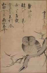 Bagoly, 1630-1640.