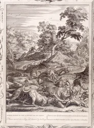 Actaeon szarvassá változott és felfalták a kutyái, 1731