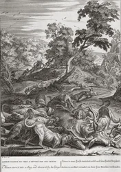 Actaeon szarvasbikává változott, és felfalták a kutyái, 1731