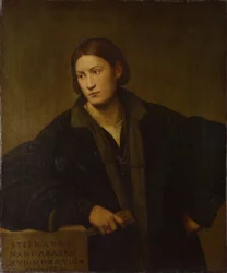 Stefano Nani portréja, 1528