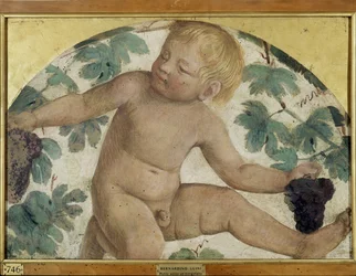 Betakarító putti – Puttó egy lugas alatt, 1514 körül (a fedélzeten hordott leválasztott freskó)