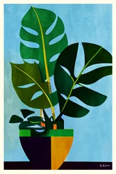 Modern cserepes monstera