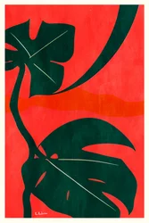 Monstera dzsungellevelek