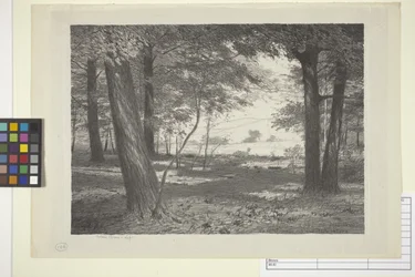 Edge Of The Woods (tinta papíron)