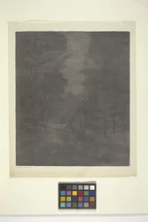 Moonlight Woods (tinta papíron)