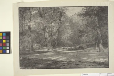 Sierra Woods (tinta papíron)