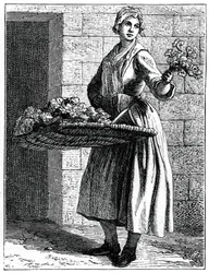 Gyönyörű rózsaszíneim!, 1737-1742.