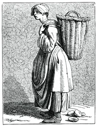 Osztriga a héjában!, 1737-1742.