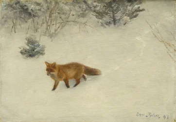 A róka, 1893
