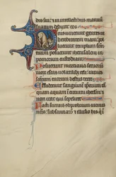Kezdeti D: A Lion and Unicorns