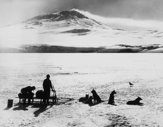Robert Falcon Scott (1868-1912), a Ross-sziget Erebus vulkánja előtti felfedezők déli sarki expedíciója, január 15.