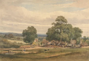Emery Down Lyndhurst közelében, New Forest, Hants (akvarell és grafit papíron)