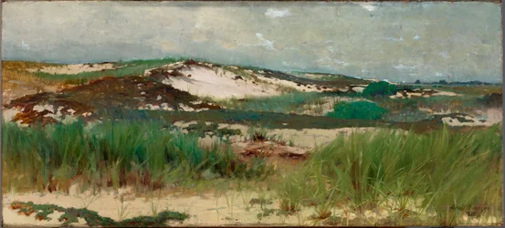 Nantucket homokdűne