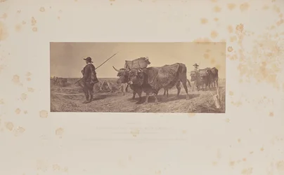 Visszatérés a munkából, írta R. Ansdell