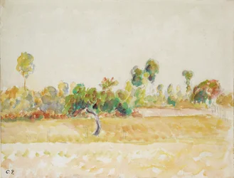 Tanulmány az Eragny-sur-Epte-i gyümölcsösről, a művész házából nézve, 1886-1890