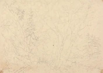 Holne Chase, 1833. május 30