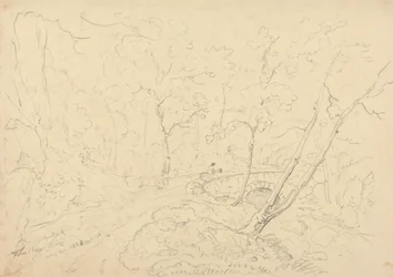 Holne Chase híd és folyó, 1833. május 30