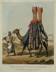 Teve menyasszonyt közvetít a férjének, vésette Denis Dighton (1792-1827) 16. táblát, „Az észak-afrikai utazások elbeszélése”, kocsma. 1821