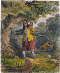 Indián nők tüzelőanyagot szereznek, 1853