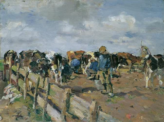 A tehenek fejése